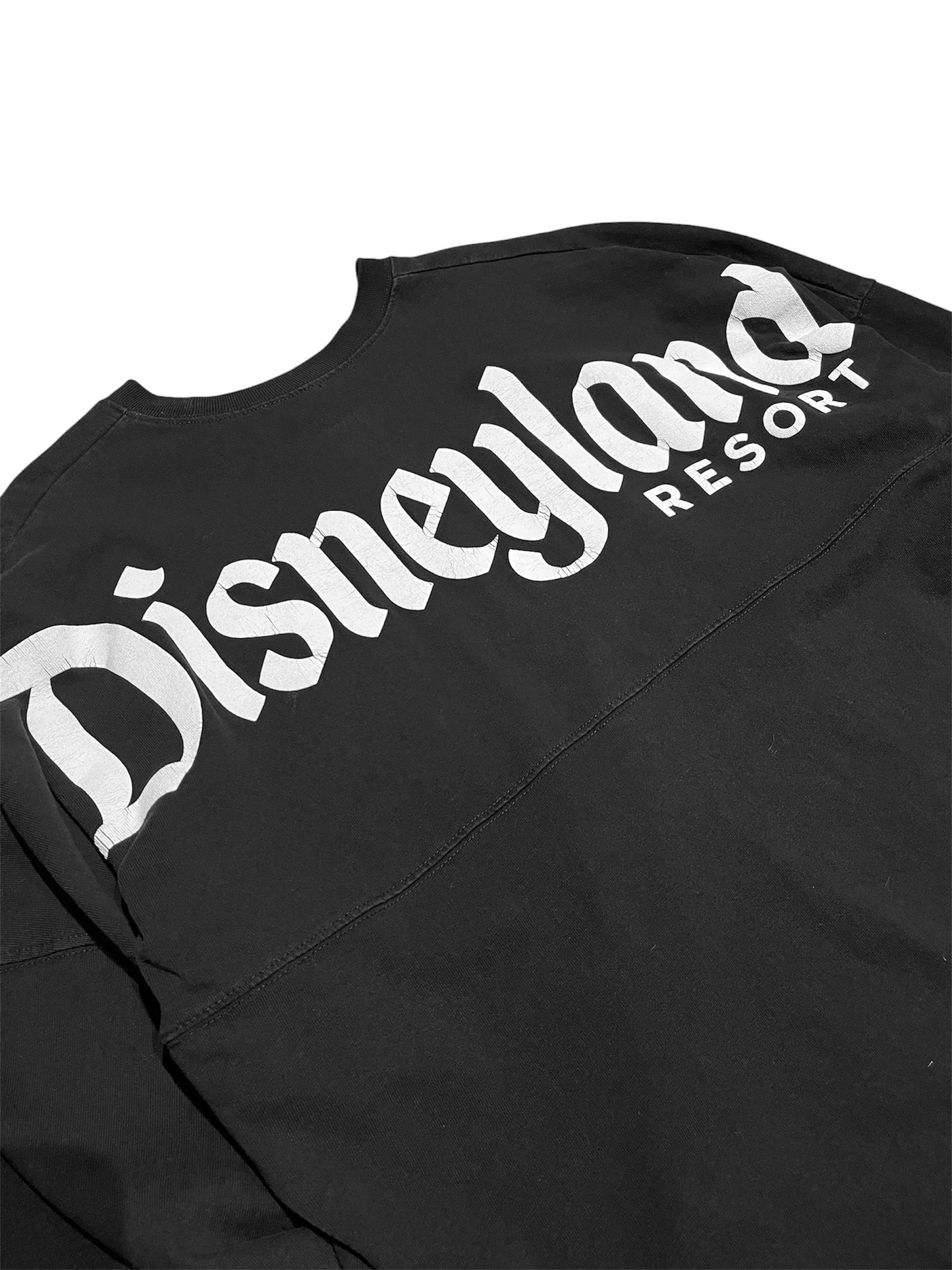 SPIRIT JERSEY "Disney Land" print Tee L/S