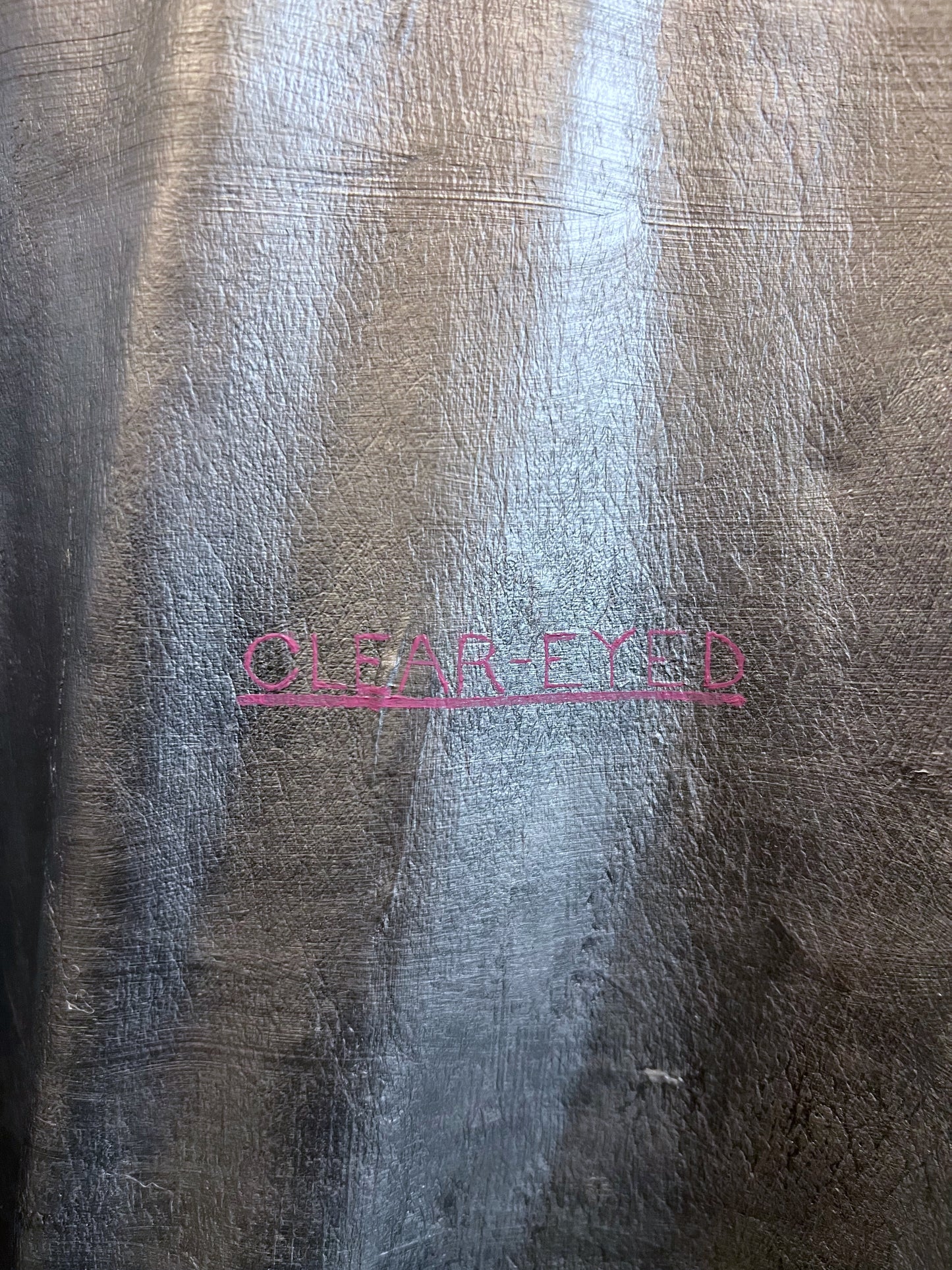 'CLEAR-EYED' RIDERS JACKET
