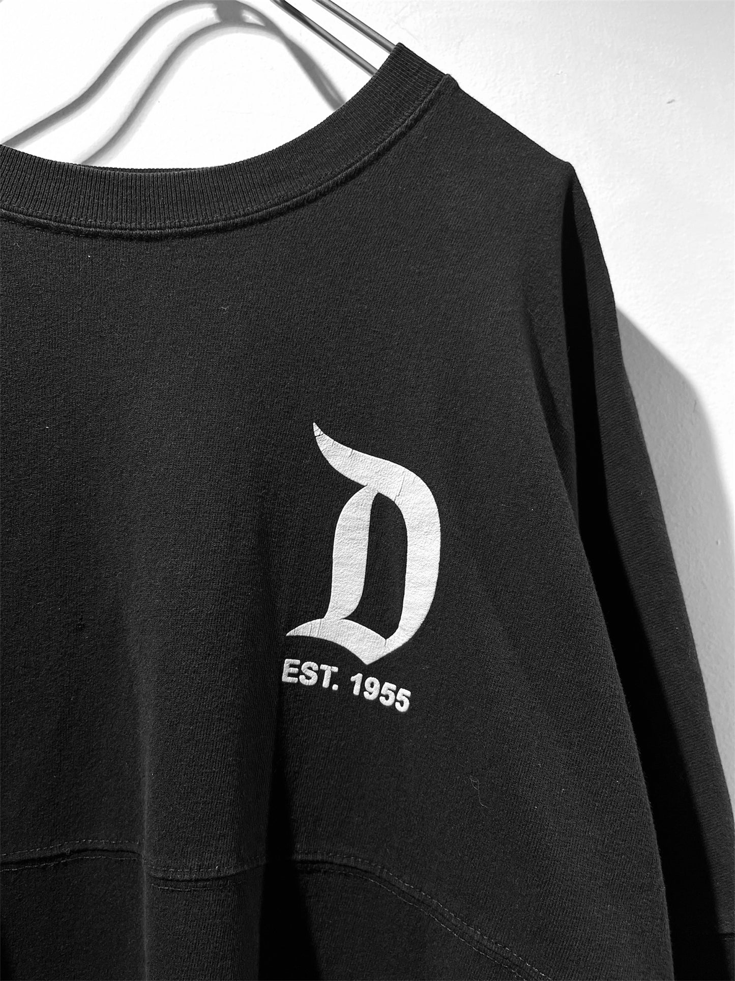 SPIRIT JERSEY "Disney Land" print Tee L/S