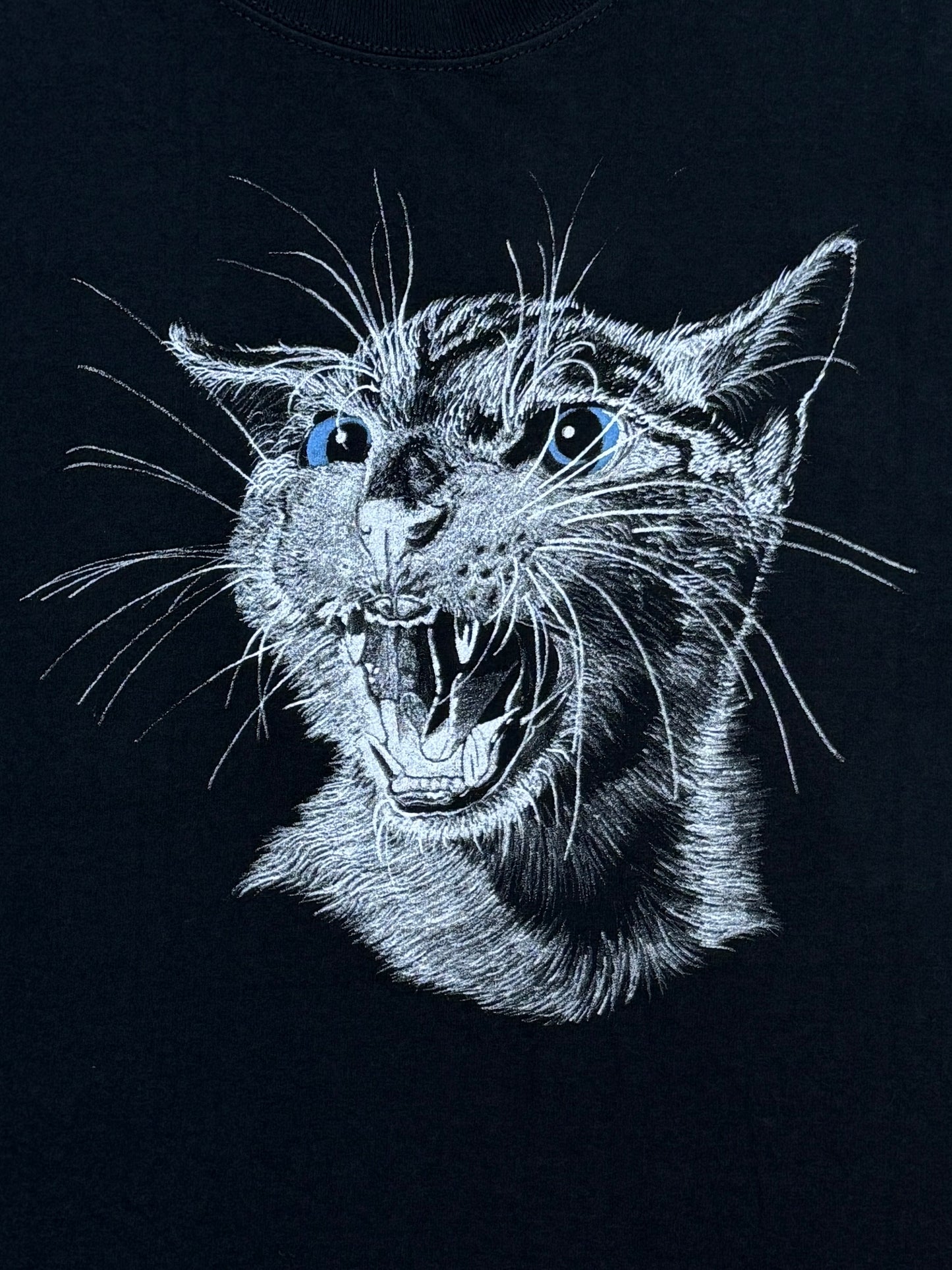 Hissing Cat Tee