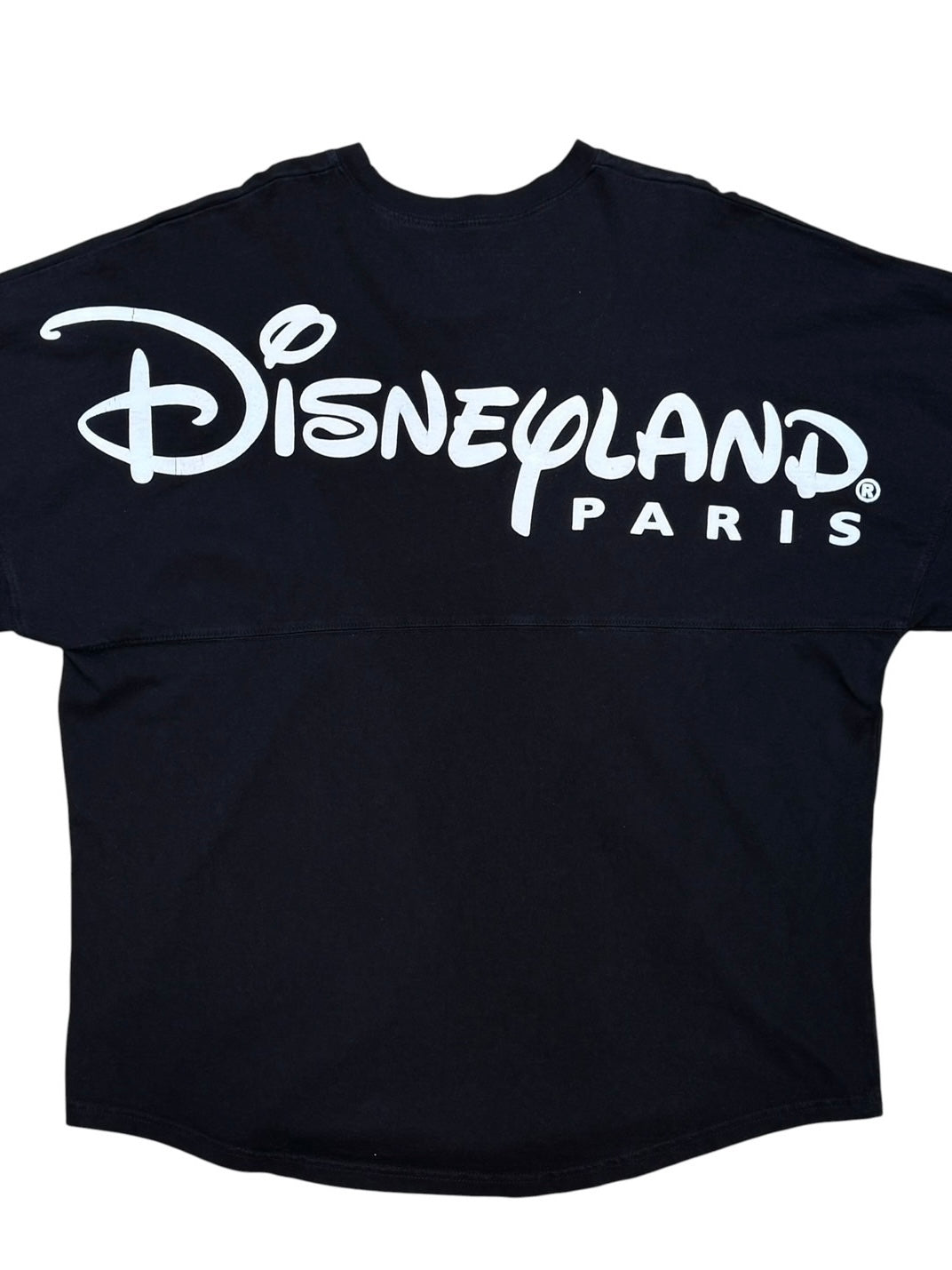 Spirit Jersey Disney Land Paris LS Tee