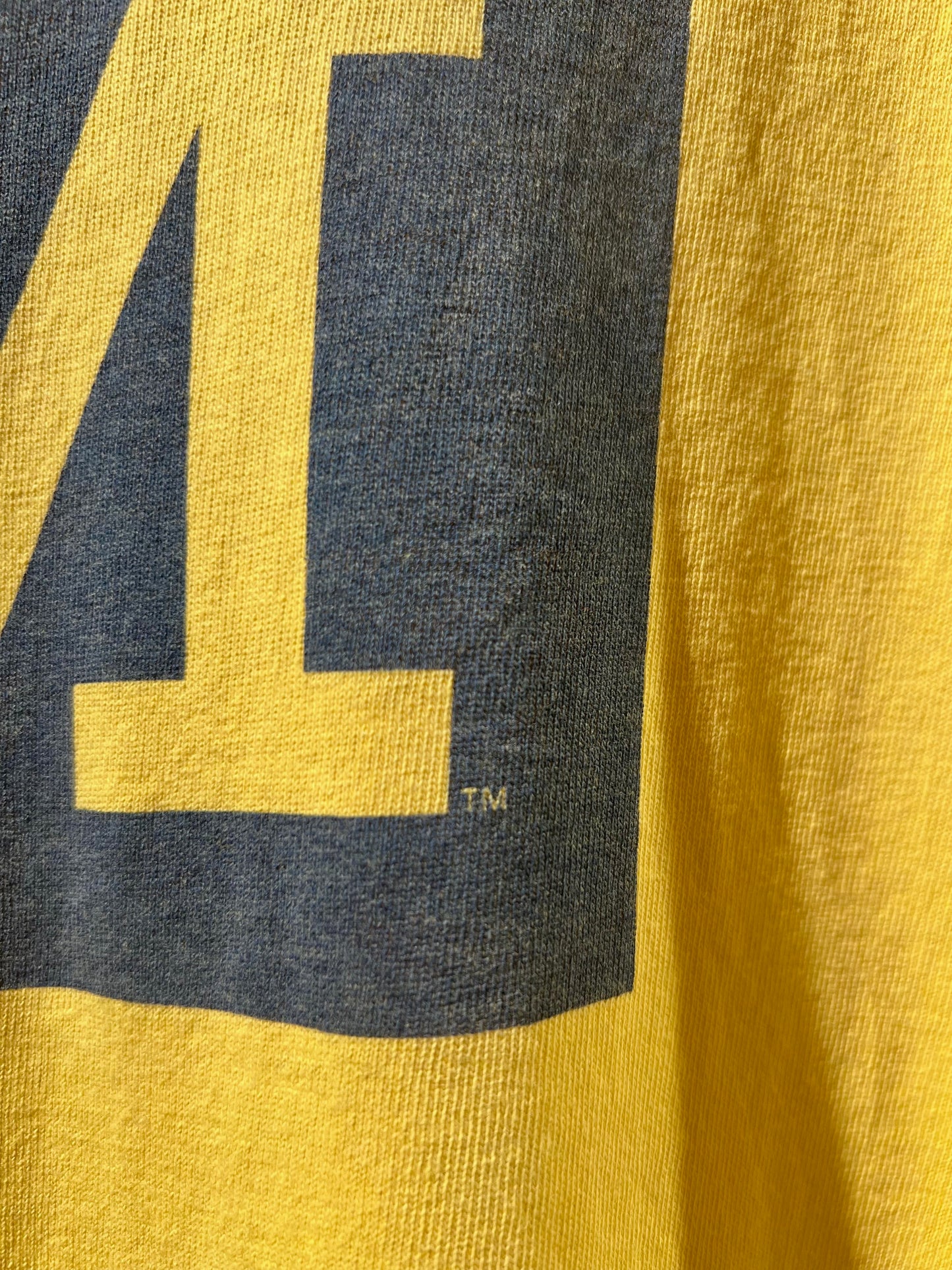 Vintage Nike Michigan Printed T-Shirt