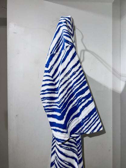 Blue Zebra Football Tee