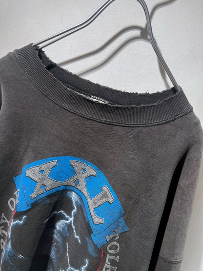 90s Fruit of the Loom Sunfaded Sweat Shirt Toredo Storm